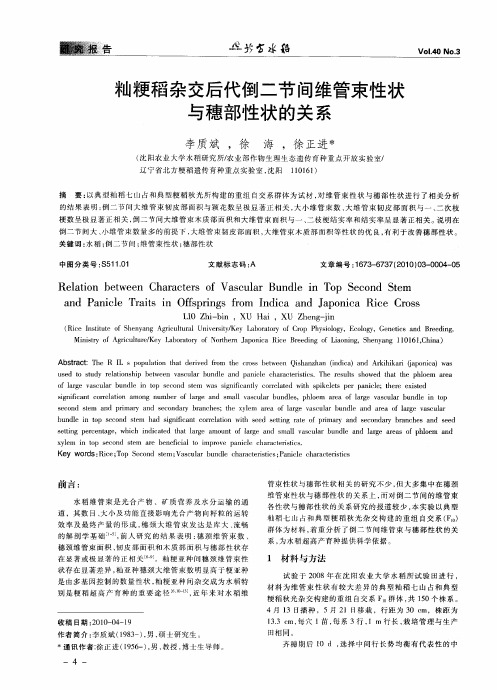 籼粳稻杂交后代倒二节间维管束性状与穗部性状的关系