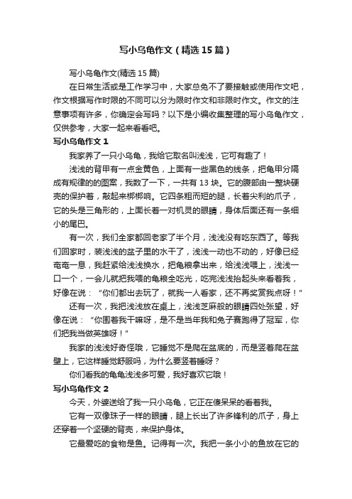 写小乌龟作文（精选15篇）
