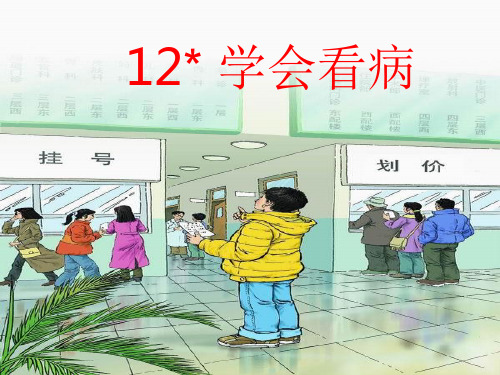 四语下册《12 、学会看病》课件