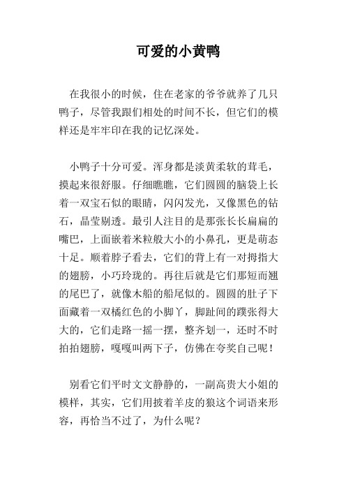 可爱的小黄鸭