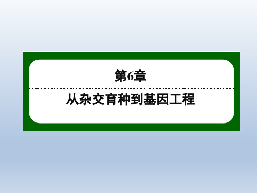 《红对勾·45分钟作业与单元评估》2014-2015学年高一生物人教版必修二配套课件第6章从杂交育种到基因工程6-