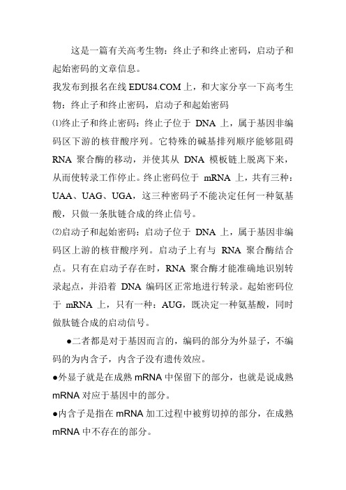 启动子