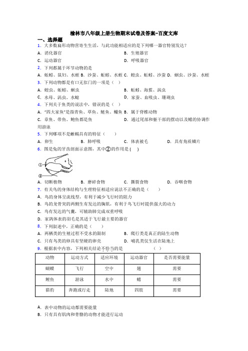 榆林市八年级上册生物期末试卷及答案-百度文库