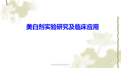 美白剂实验研究及临床应用ppt课件