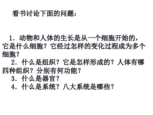 动物体的结构层次PPT课件