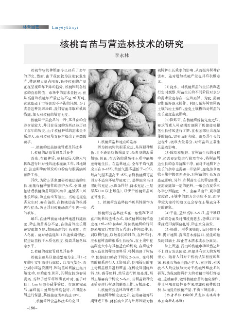 核桃育苗与营造林技术的研究