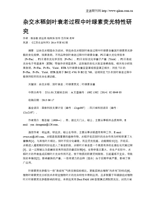 杂交水稻剑叶衰老过程中叶绿素荧光特性研究