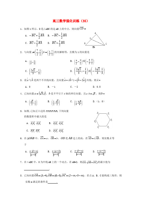 2020山东省高三数学强化训练(35) 新人教B版 精品