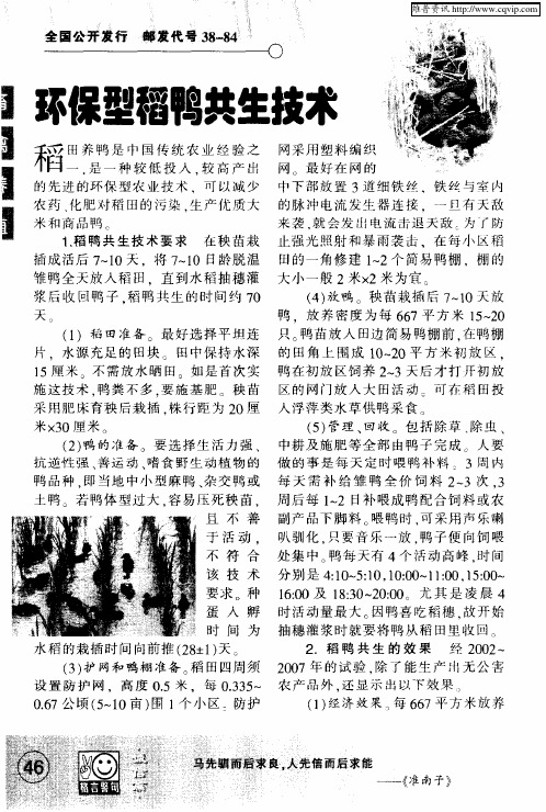 环保型稻鸭共生技术