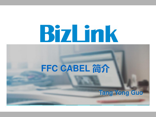 FFC CABLE 简介