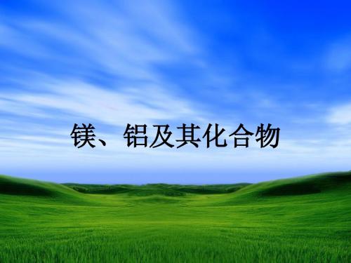 11镁铝及其化合物