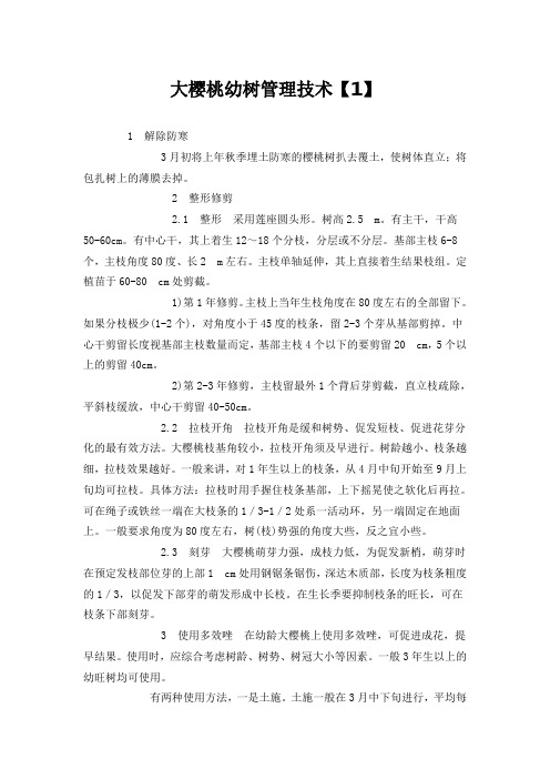 大樱桃幼树管理技术