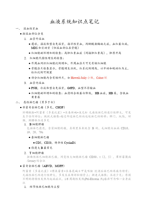 血液系统知识点笔记