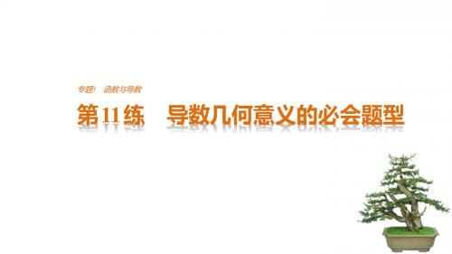 2017版考前三个月(浙江专版,文理通用)高考知识·方法篇 专题3 函数与导数 第11练