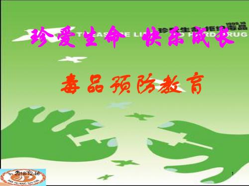小学生毒品预防教育ppt培训课件