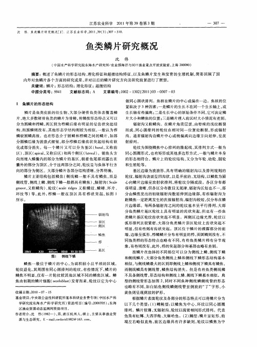 鱼类鳞片研究概况