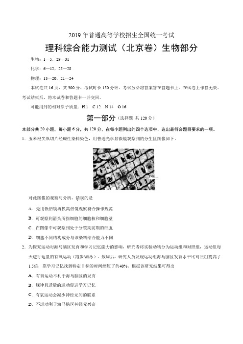 2019年北京理综生物高考试题(word版含答案).doc