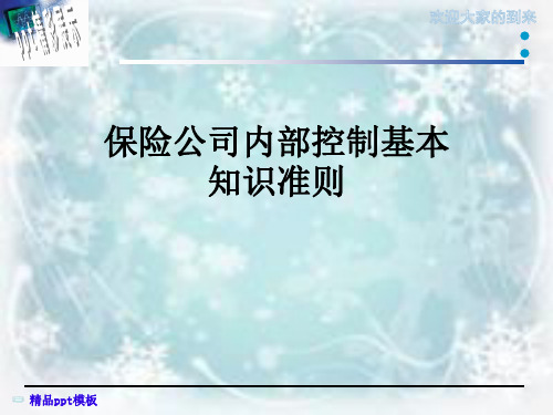保险公司内部控制基本知识准则