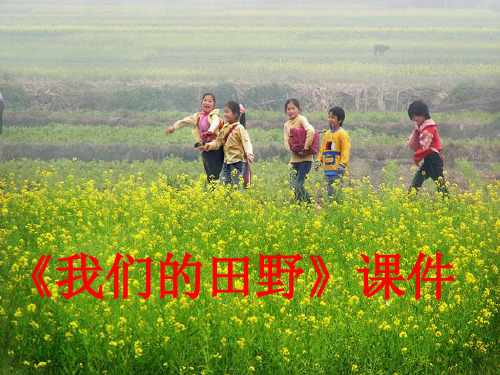 《我们的田野》2PPT课件