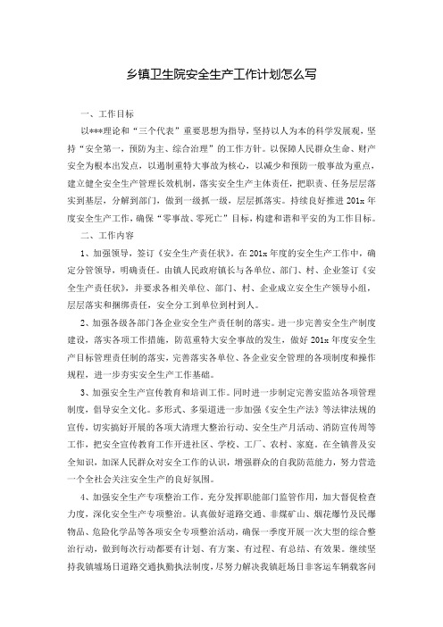 乡镇卫生院安全生产工作计划怎么写