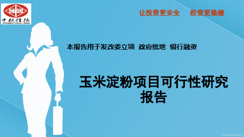 玉米淀粉项目可行性研究报告