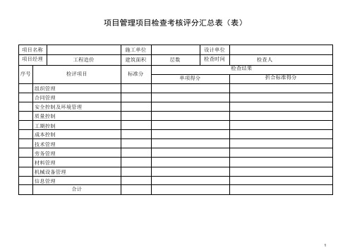 项目管理检查考核评分表(项目)