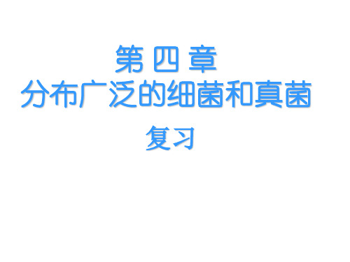 第四章分布广泛的细菌和真菌复习