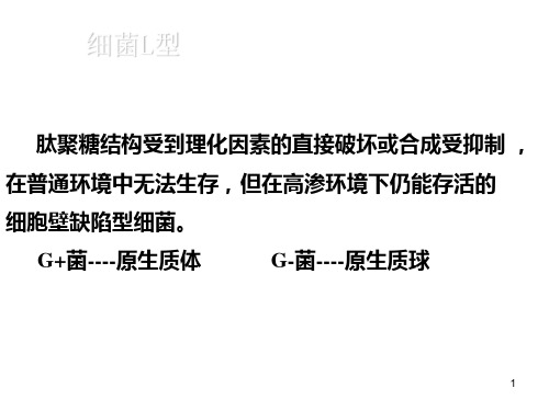 医学微生物学2细菌的结构II(人卫)PPT课件