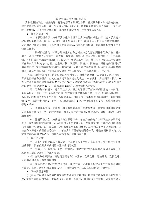创建省级卫生乡镇自查总结