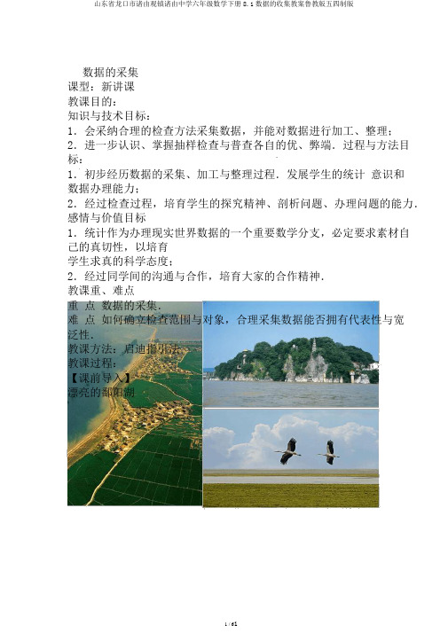 山东省龙口市诸由观镇诸由中学六年级数学下册8.1数据的收集教案鲁教版五四制版