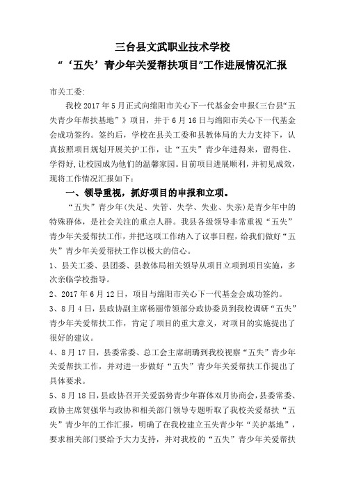 五失青少年帮扶项目工作汇报(新)