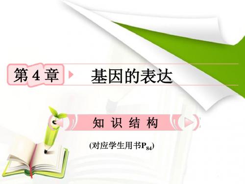 人教版2012高考生物总复习课件：41《基因指导蛋白质的合成》知识研习(新人教版必修2)(共18张PPT)