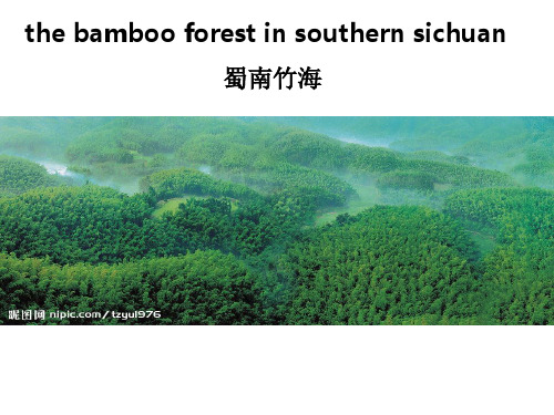 旅游英语蜀南竹海