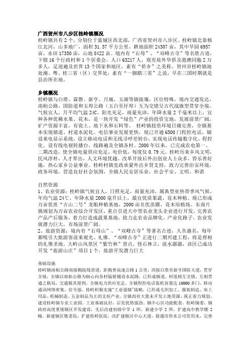 广西贺州市八步区桂岭镇概况