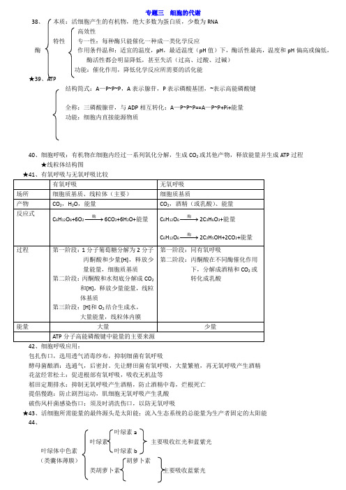 广东省学业水平考试高中生物 专题三细胞的代谢