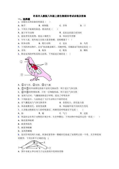 许昌市人教版八年级上册生物期末考试试卷及答案