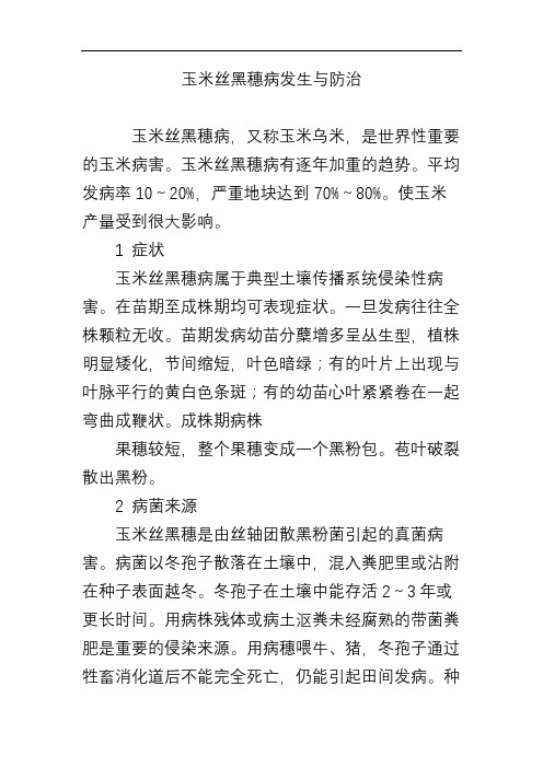 玉米丝黑穗病发生与防治