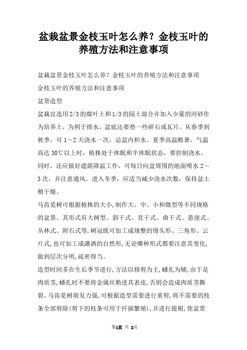 盆栽盆景金枝玉叶怎么养？金枝玉叶的养殖方法和注意事项