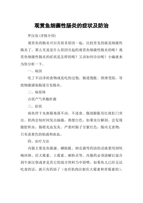 观赏鱼细菌性肠炎的症状及防治