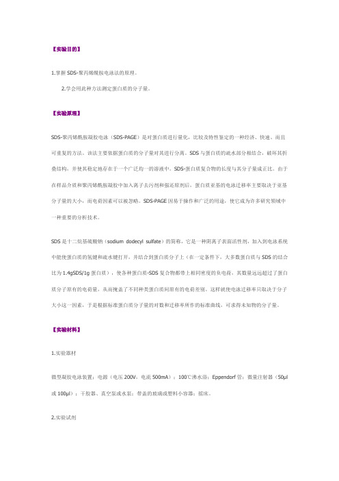 SDS-聚丙烯酰胺凝胶电泳法——蛋白质的分子量测定