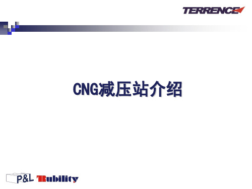 CNG减压撬