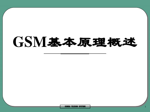 GSM基本原理概述ppt课件