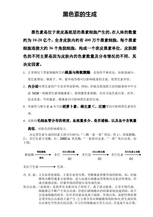黑色素的生成