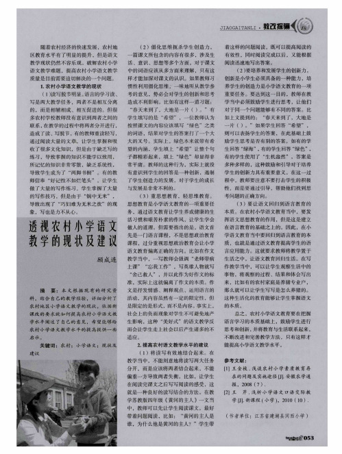 透视农村小学语文教学的现状及建议