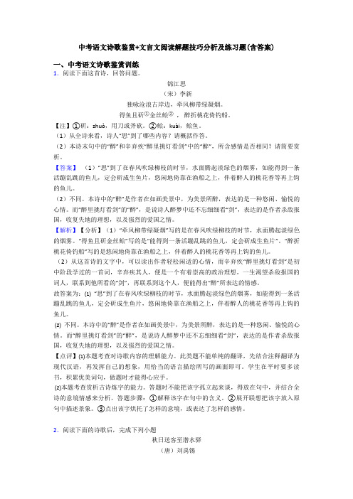 中考语文诗歌鉴赏+文言文阅读解题技巧分析及练习题(含答案)