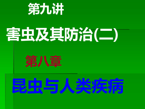 医学昆虫白蚁