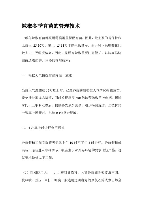 辣椒冬季育苗的管理技术