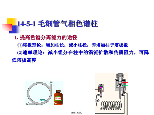 毛细管气相色谱柱(共9张PPT)