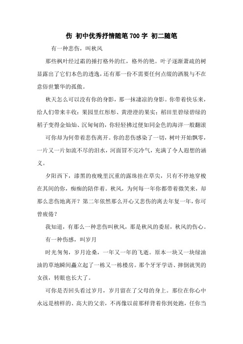 伤 初中优秀抒情随笔700字 初二随笔
