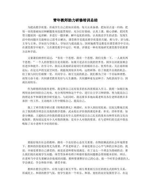 青年教师助力研修培训总结